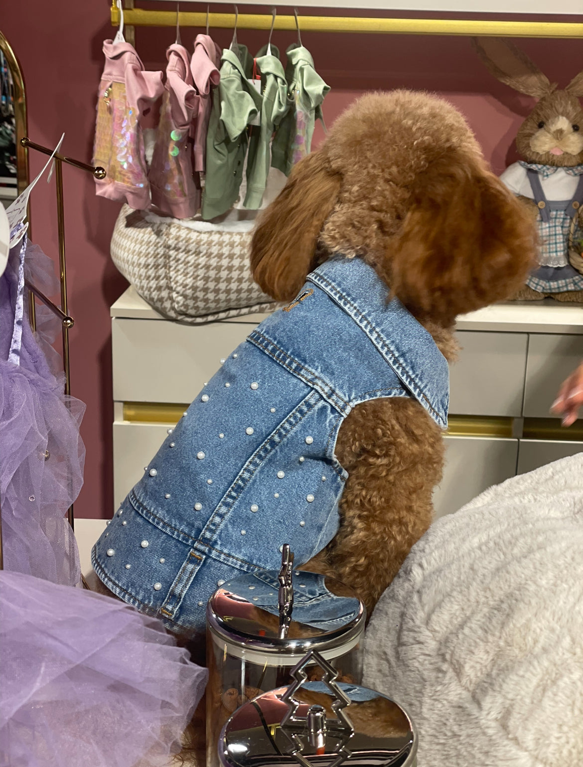 PEARL DOG DENIM VEST
