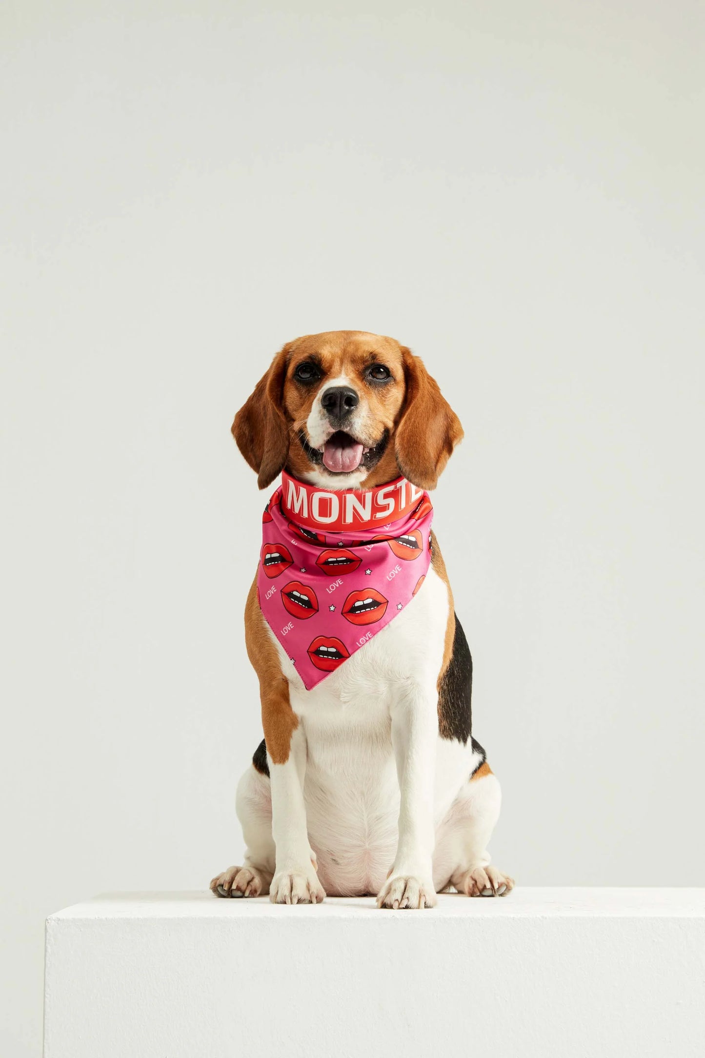 Wild Love Dog Bandana