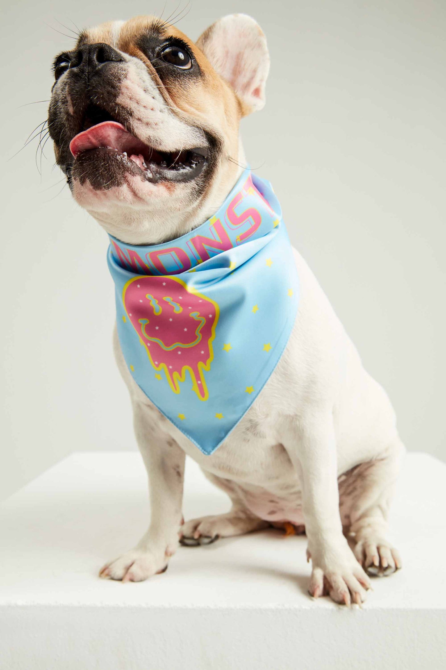 Yaz Güneşi Köpek Bandana