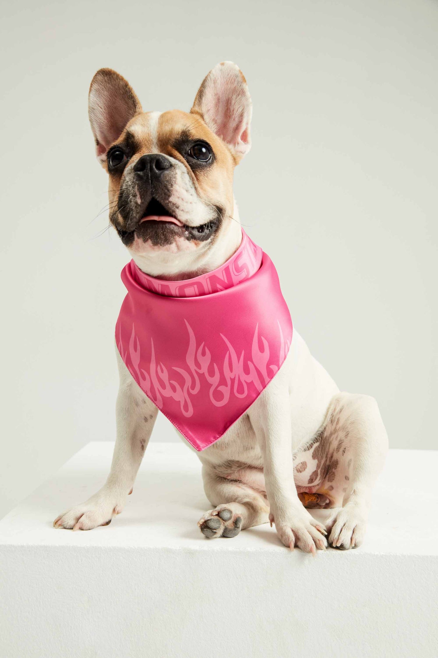 GRL PWR Dog Bandana
