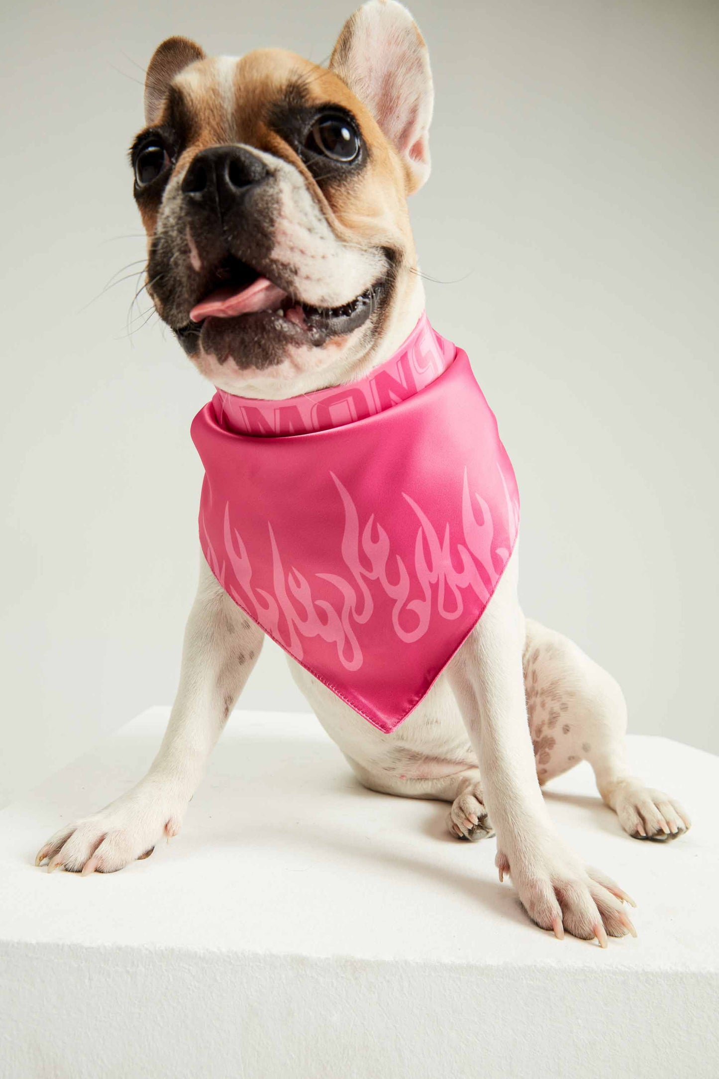 GRL PWR Dog Bandana