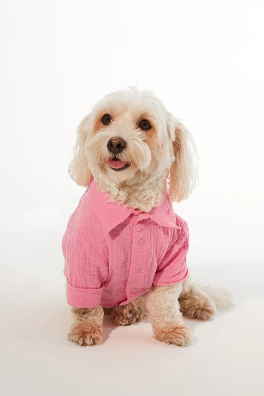 Positano Dog Shirt - Pink