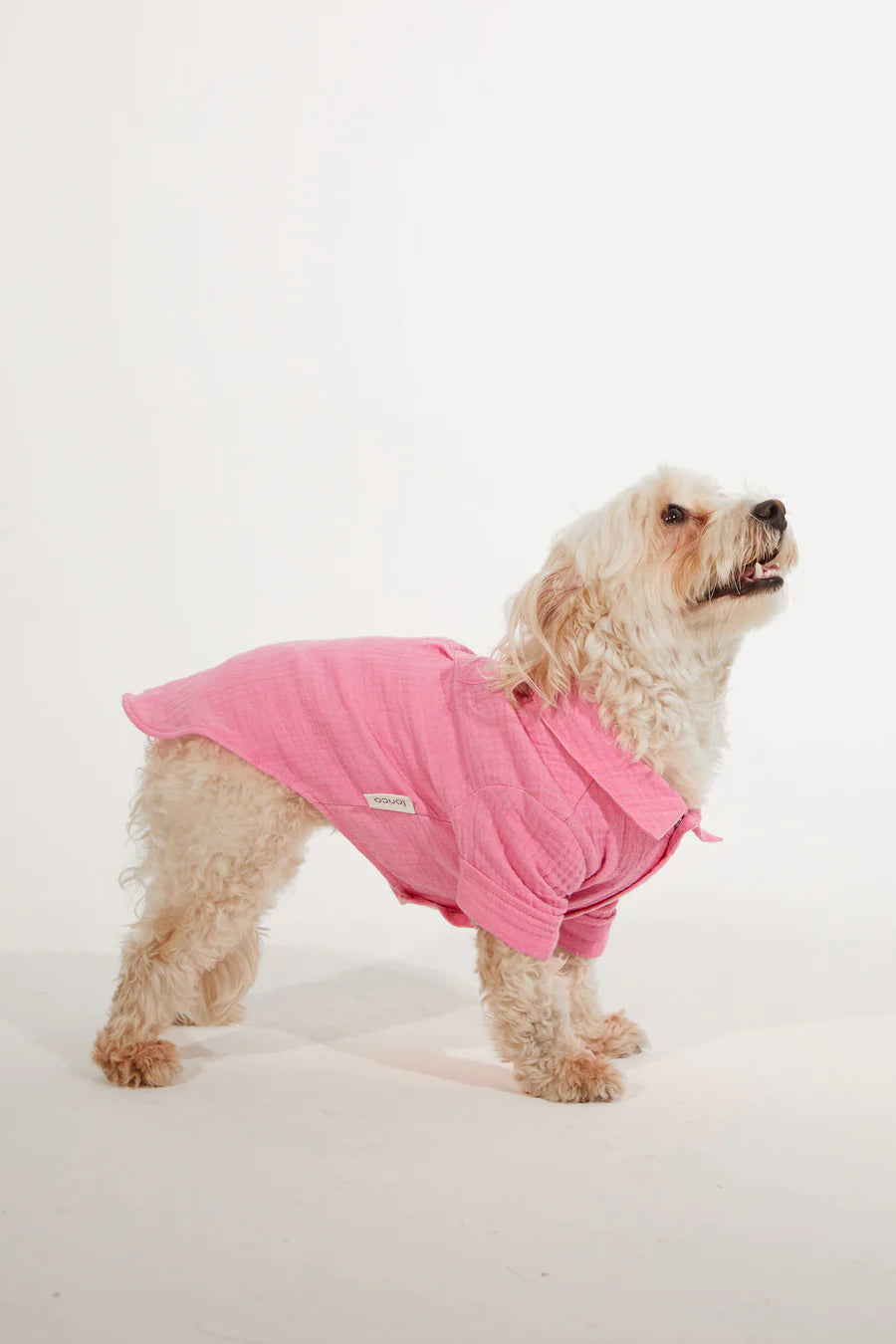 Positano Dog Shirt - Pink