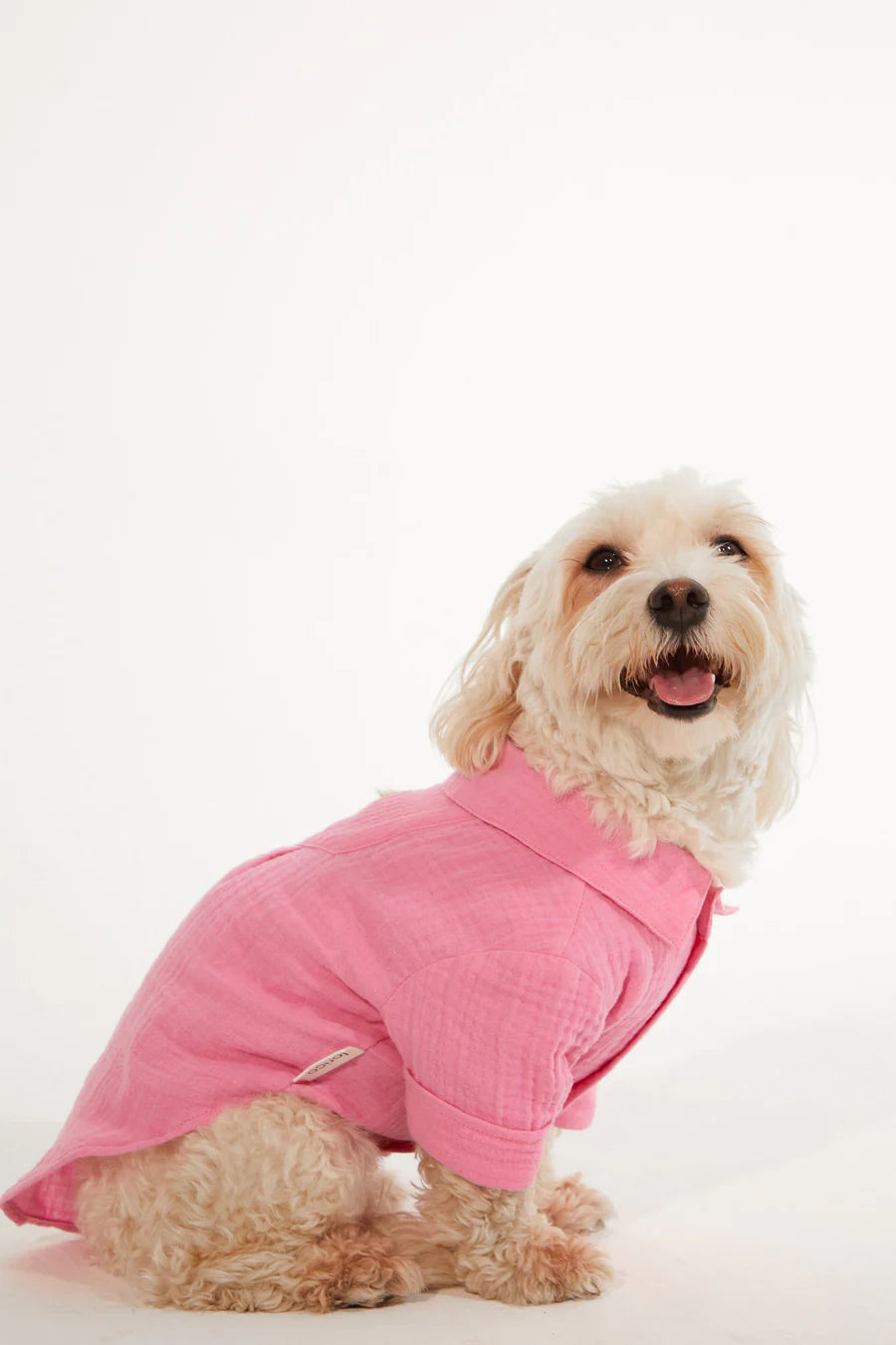 Positano Dog Shirt - Pink
