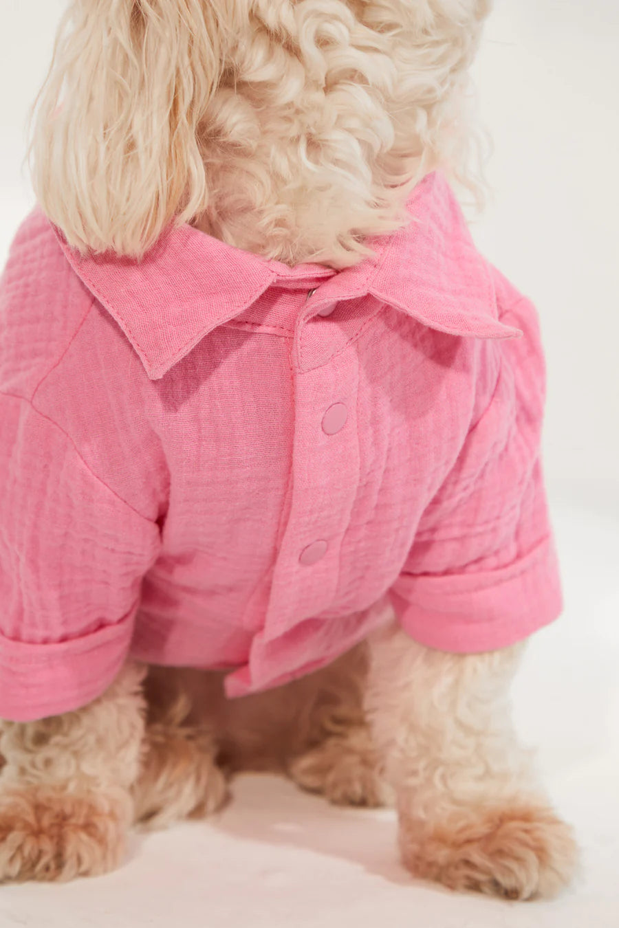 Positano Dog Shirt - Pink