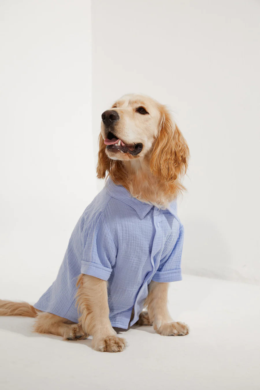 Positano Dog Shirt - Blue