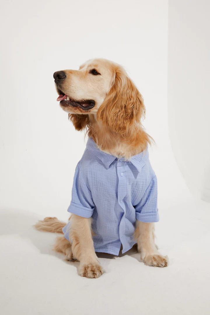 Positano Dog Shirt - Blue