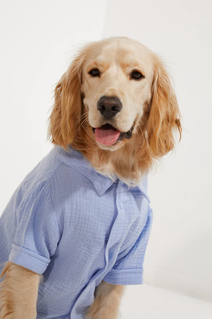 Positano Dog Shirt - Blue