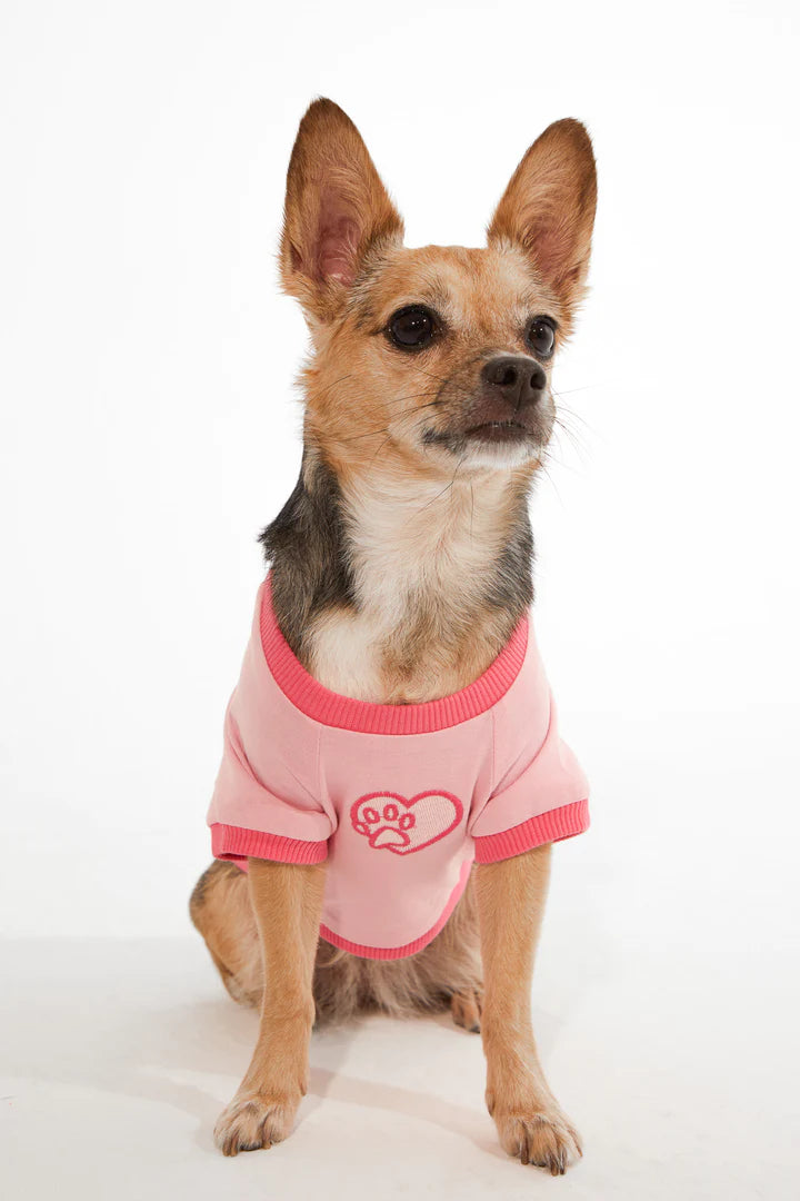 Amalfi Dog T-Shirt - Pink