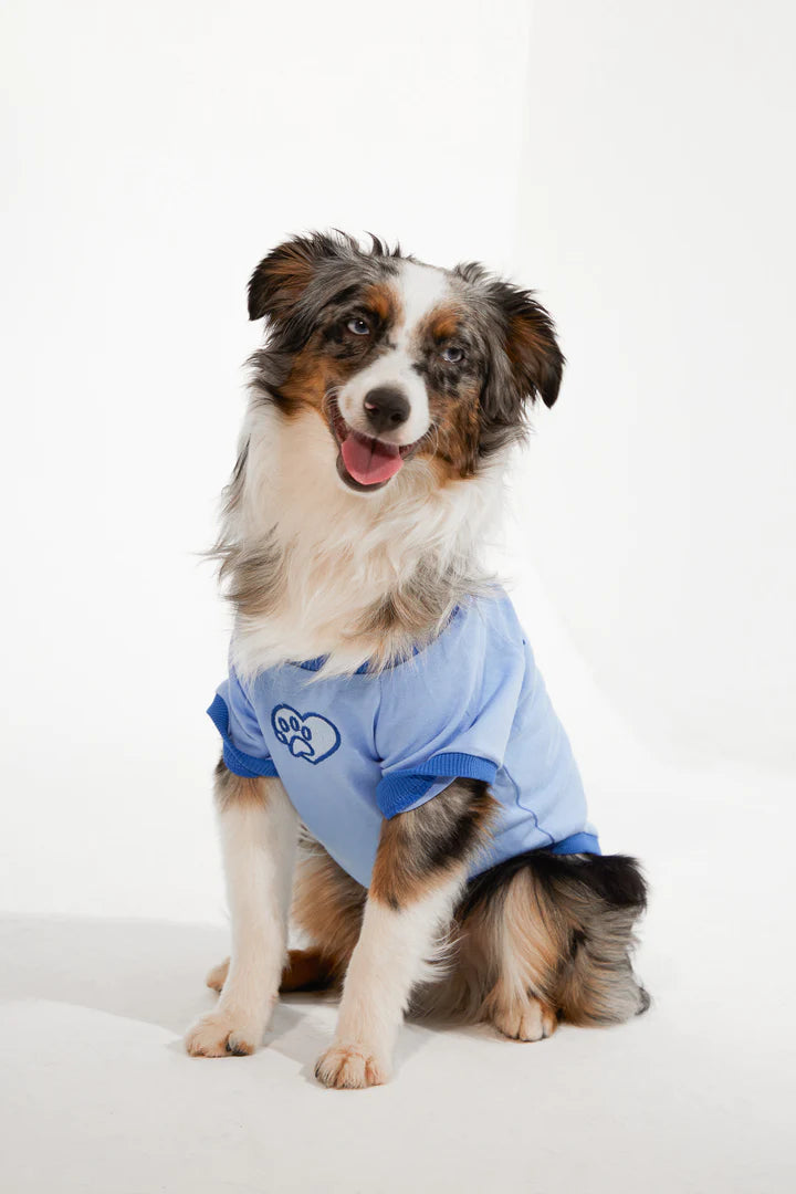 Amalfi Dog T-Shirt - Blue
