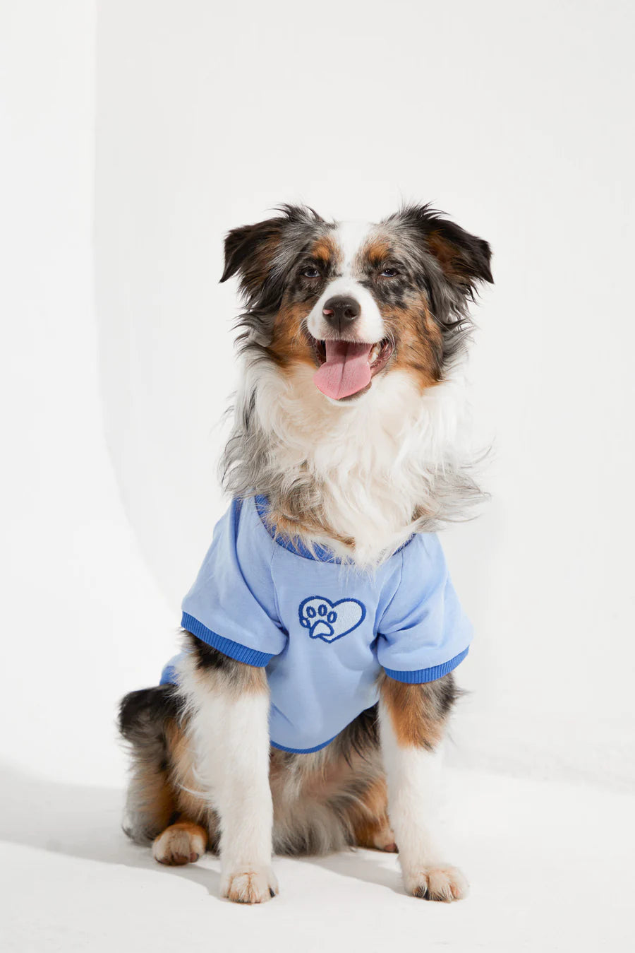 Amalfi Dog T-Shirt - Blue