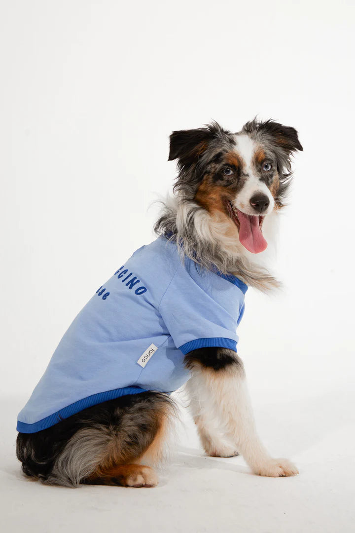 Amalfi Dog T-Shirt - Blue
