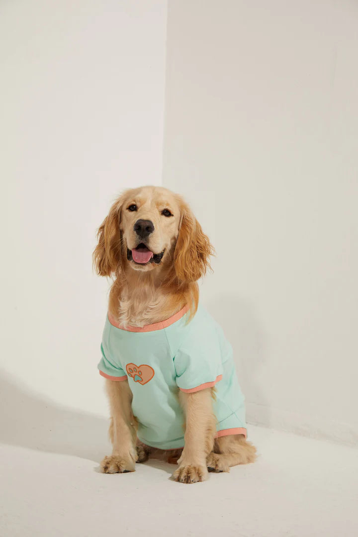 Amalfi Dog T-Shirt - Aqua Green