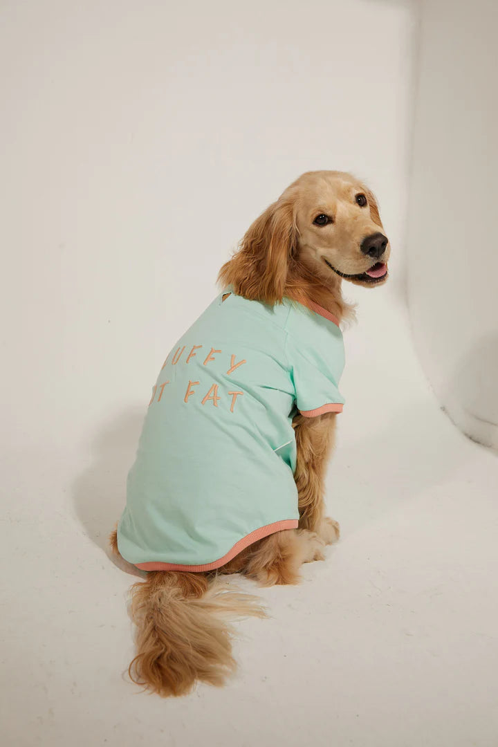 Amalfi Dog T-Shirt - Aqua Green