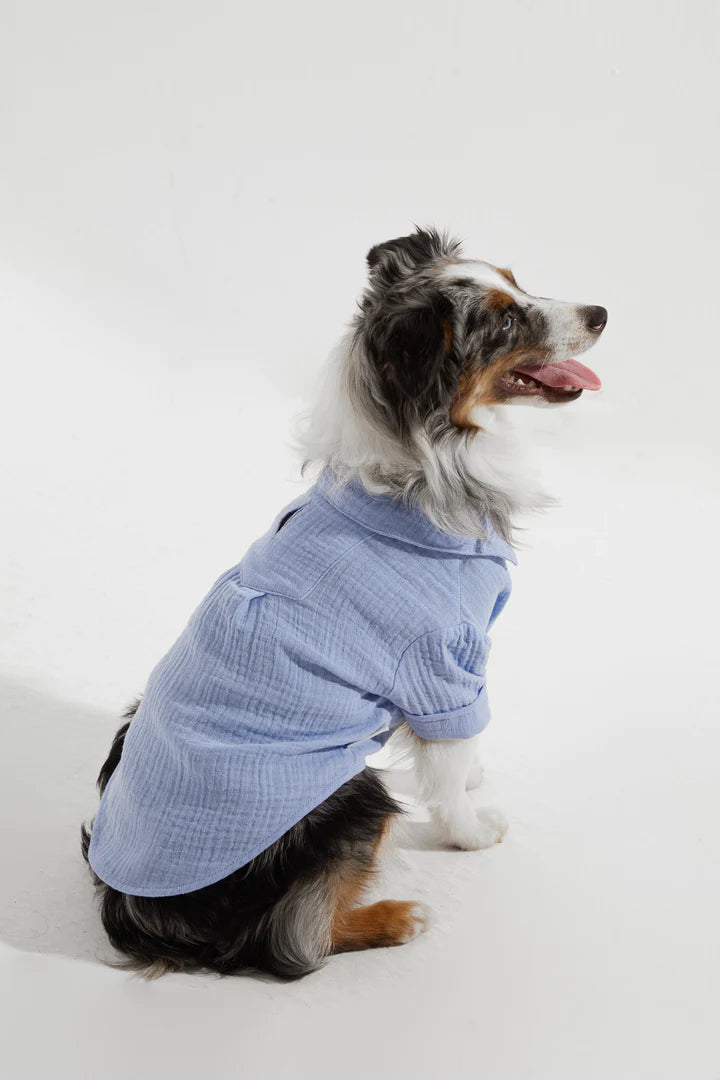 Positano Dog Shirt - Blue