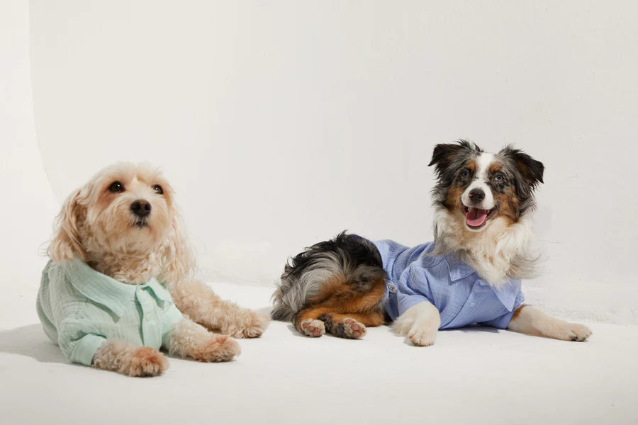 Positano Dog Shirt - Blue