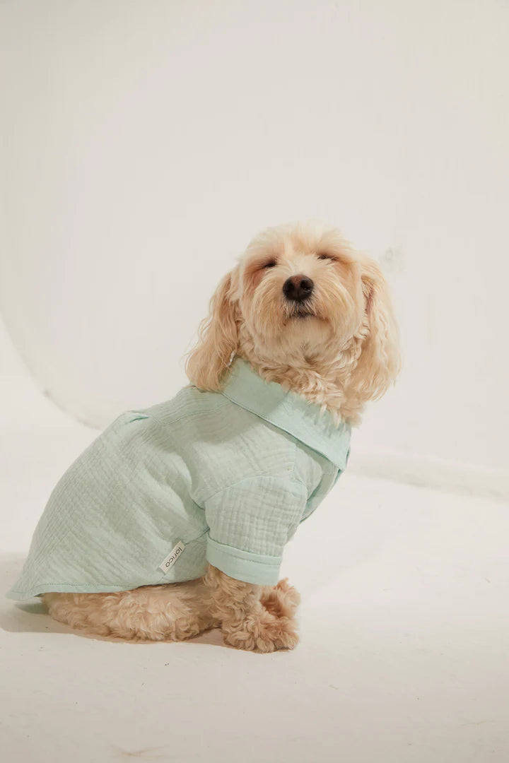 Positano Dog Shirt - Aqua Green