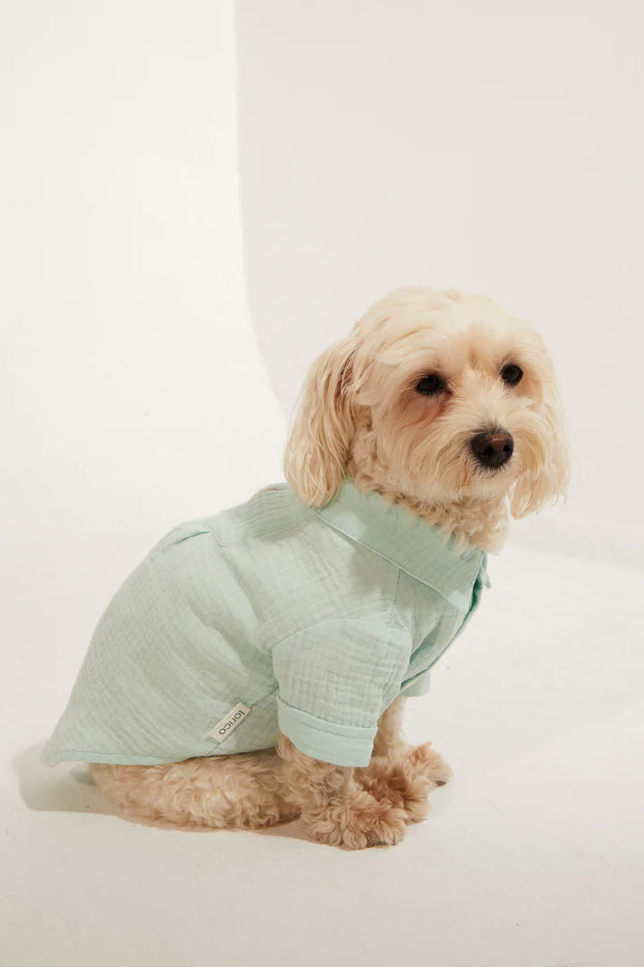Positano Dog Shirt - Aqua Green
