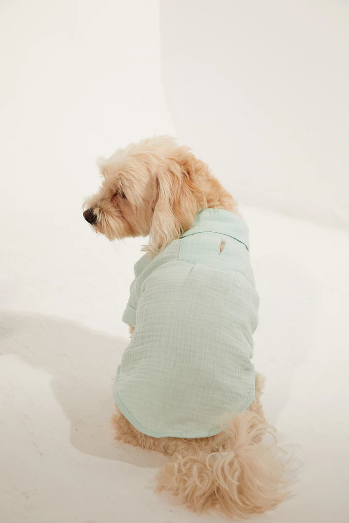 Positano Dog Shirt - Aqua Green