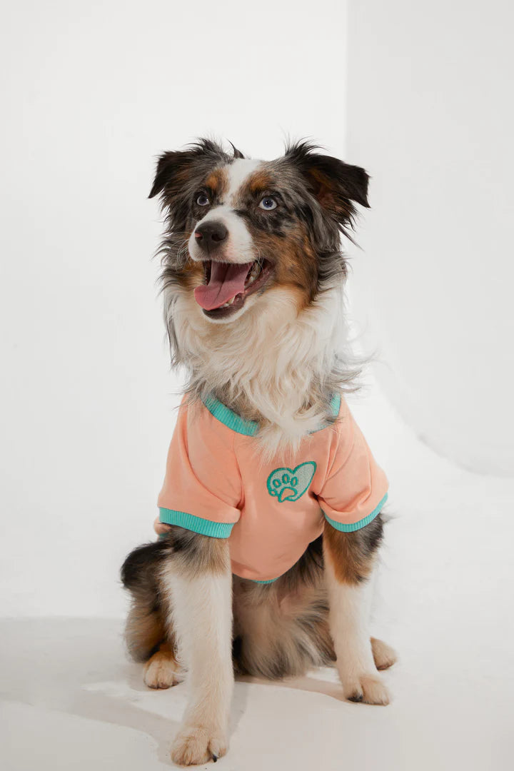 Amalfi Dog T-Shirt - Salmon