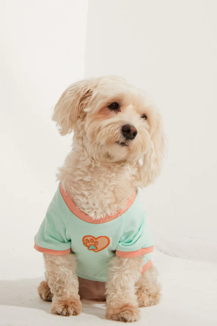 Amalfi Dog T-Shirt - Aqua Green