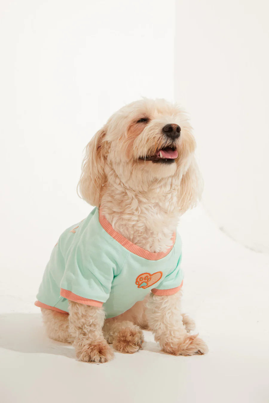 Amalfi Dog T-Shirt - Aqua Green