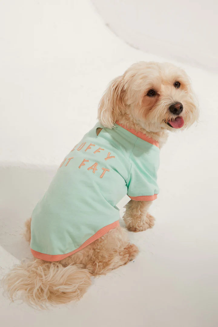 Amalfi Dog T-Shirt - Aqua Green