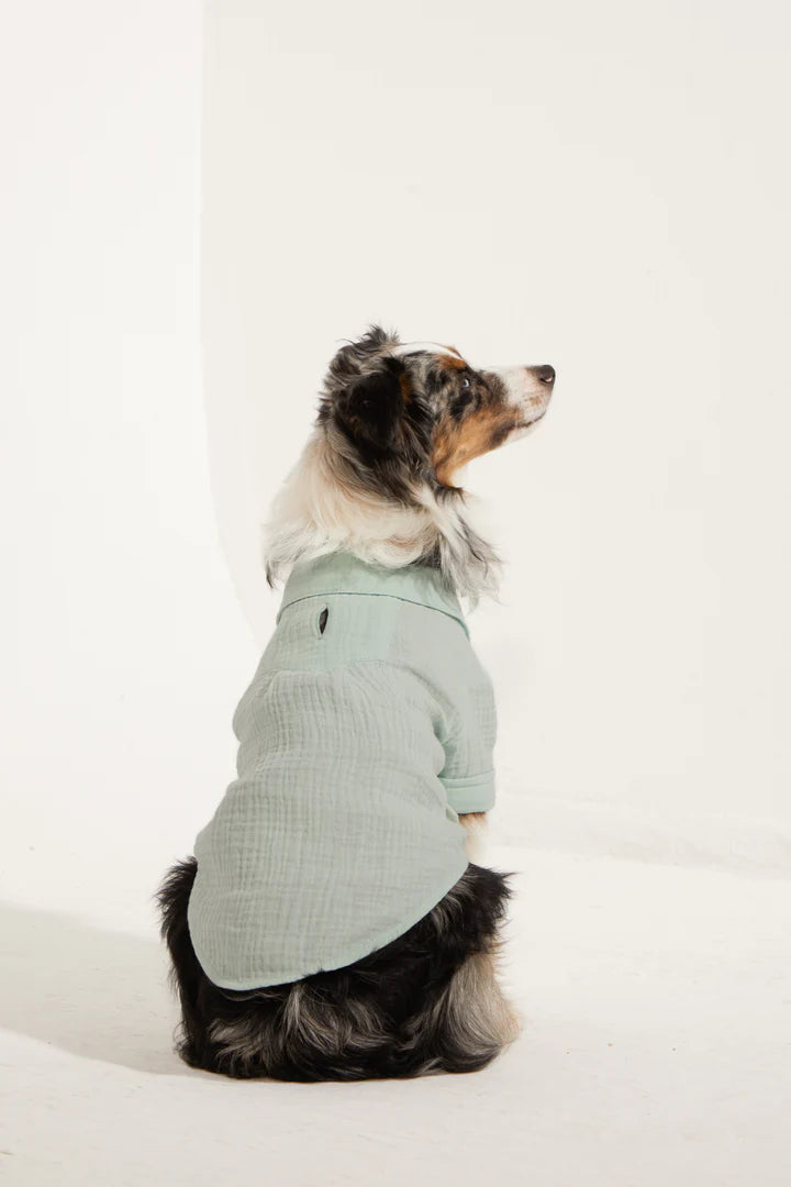 Positano Dog Shirt - Aqua Green