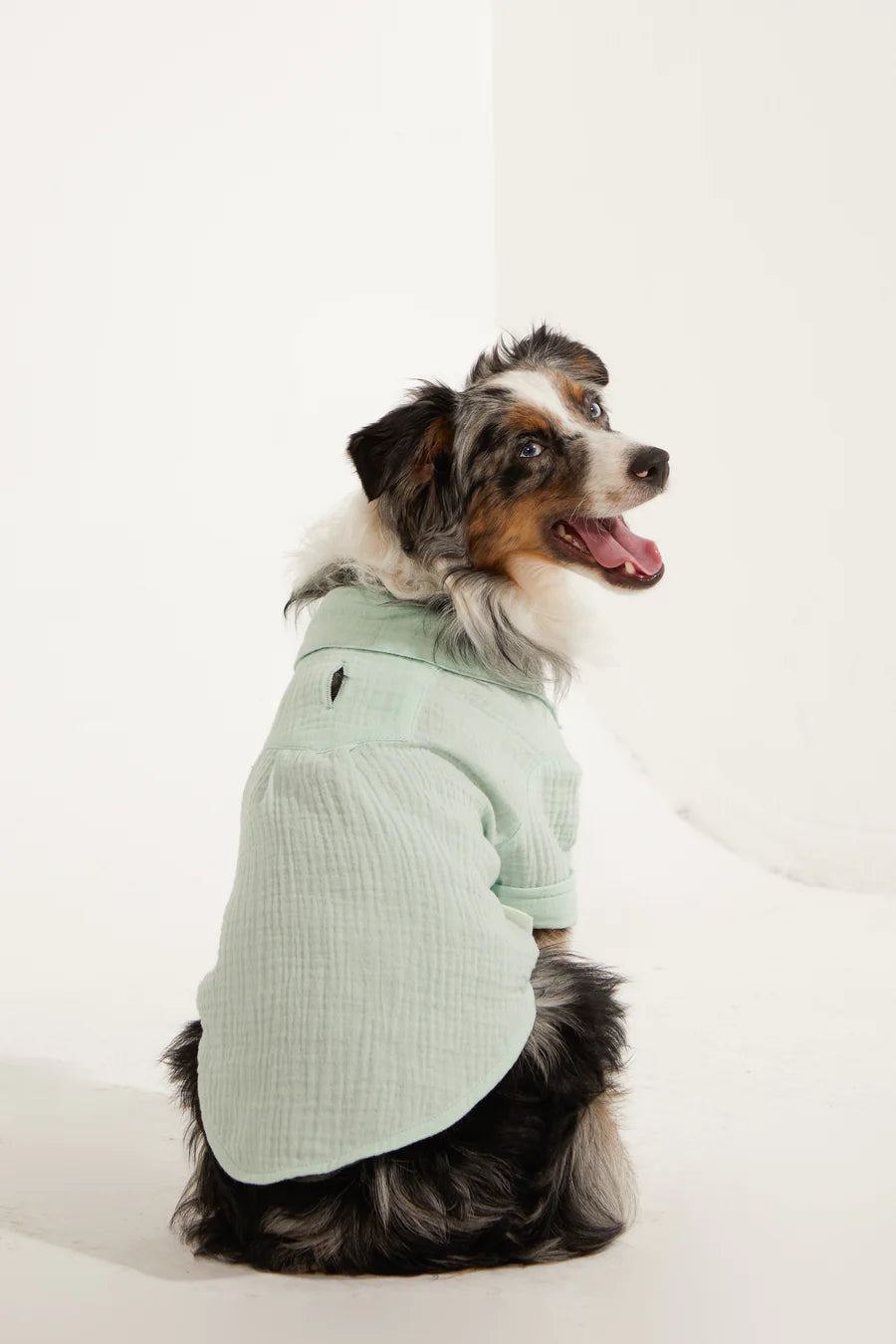 Positano Dog Shirt - Aqua Green