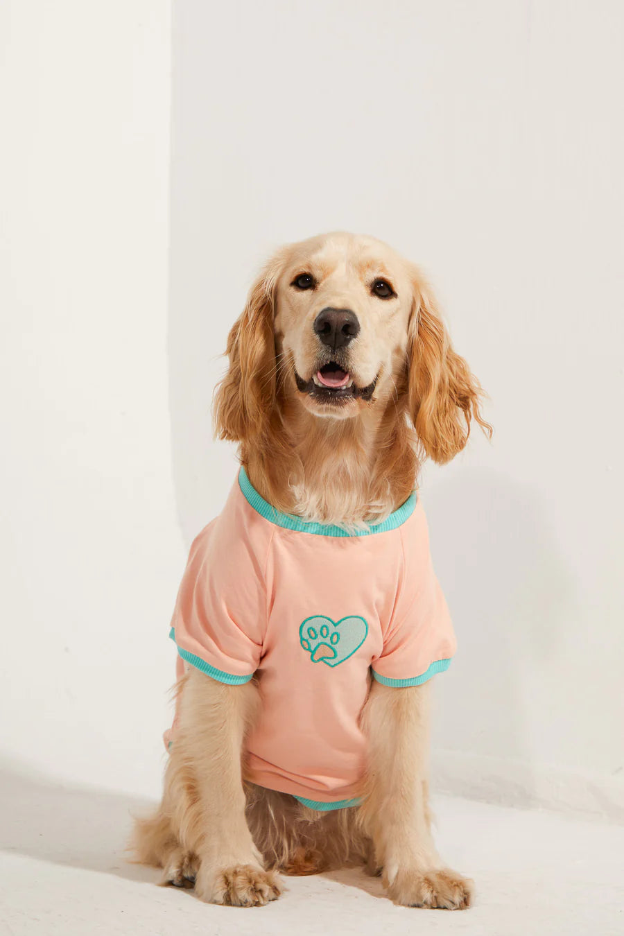 Amalfi Dog T-Shirt - Salmon