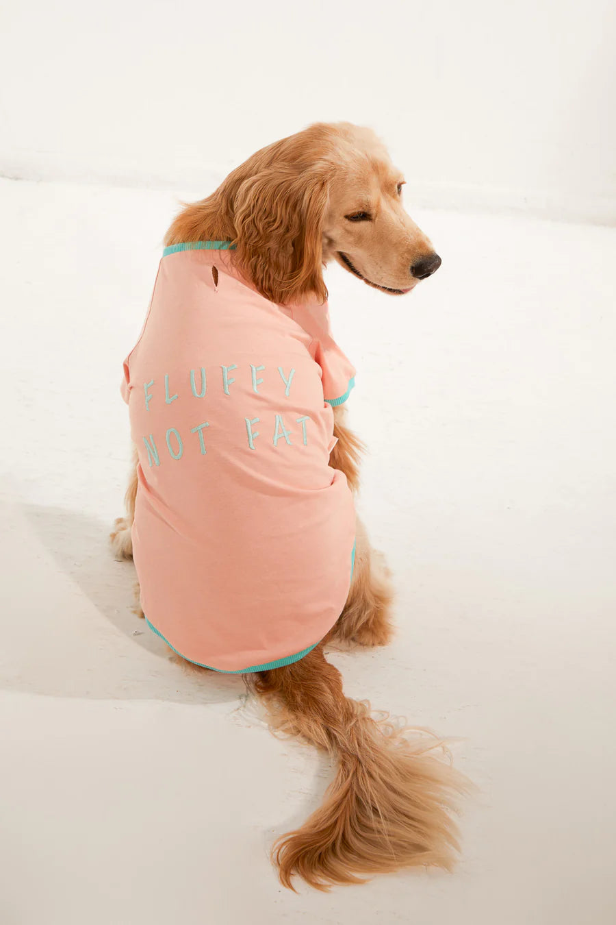 Amalfi Dog T-Shirt - Salmon