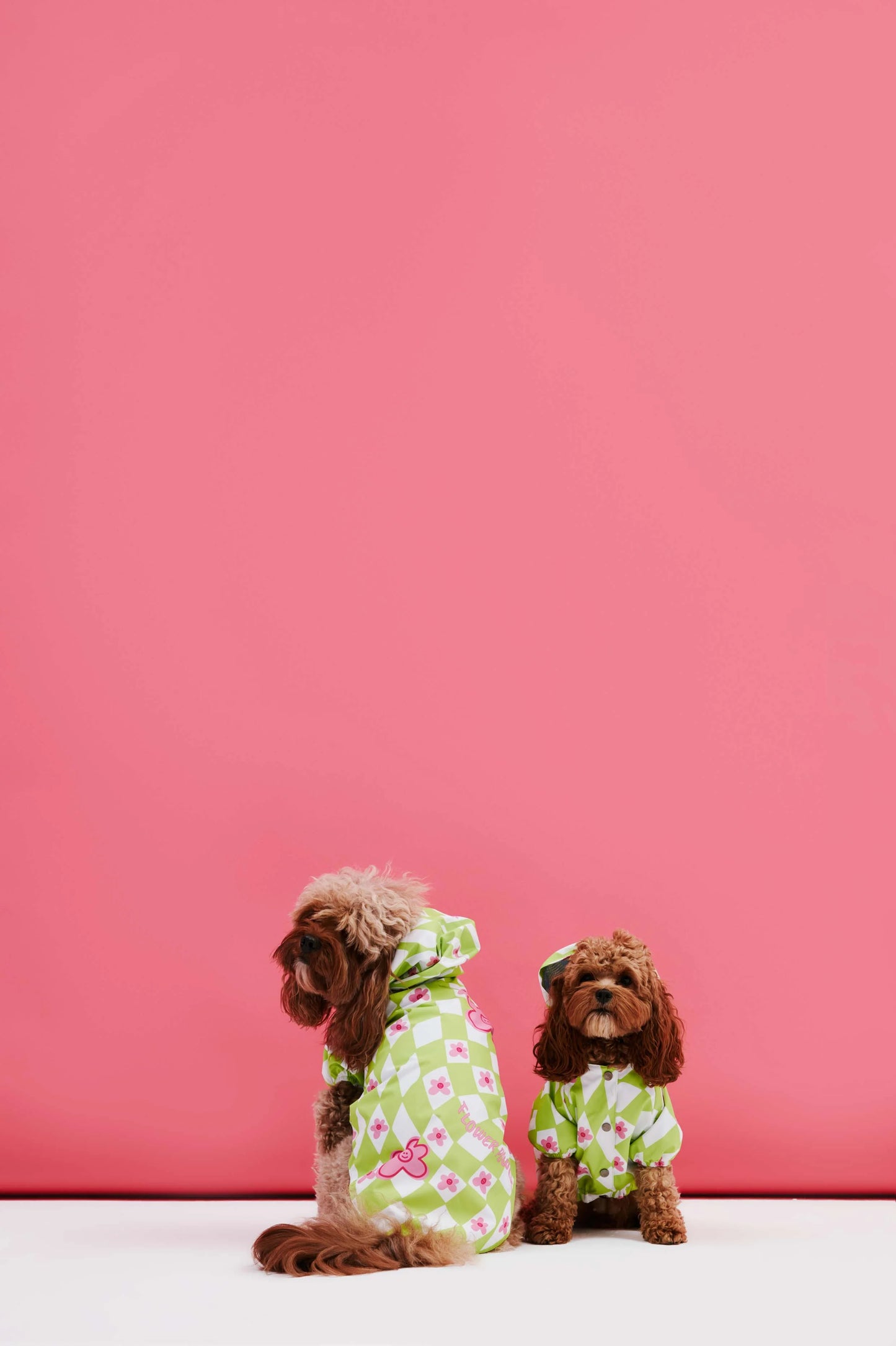 Green Plaid Dog Raincoat