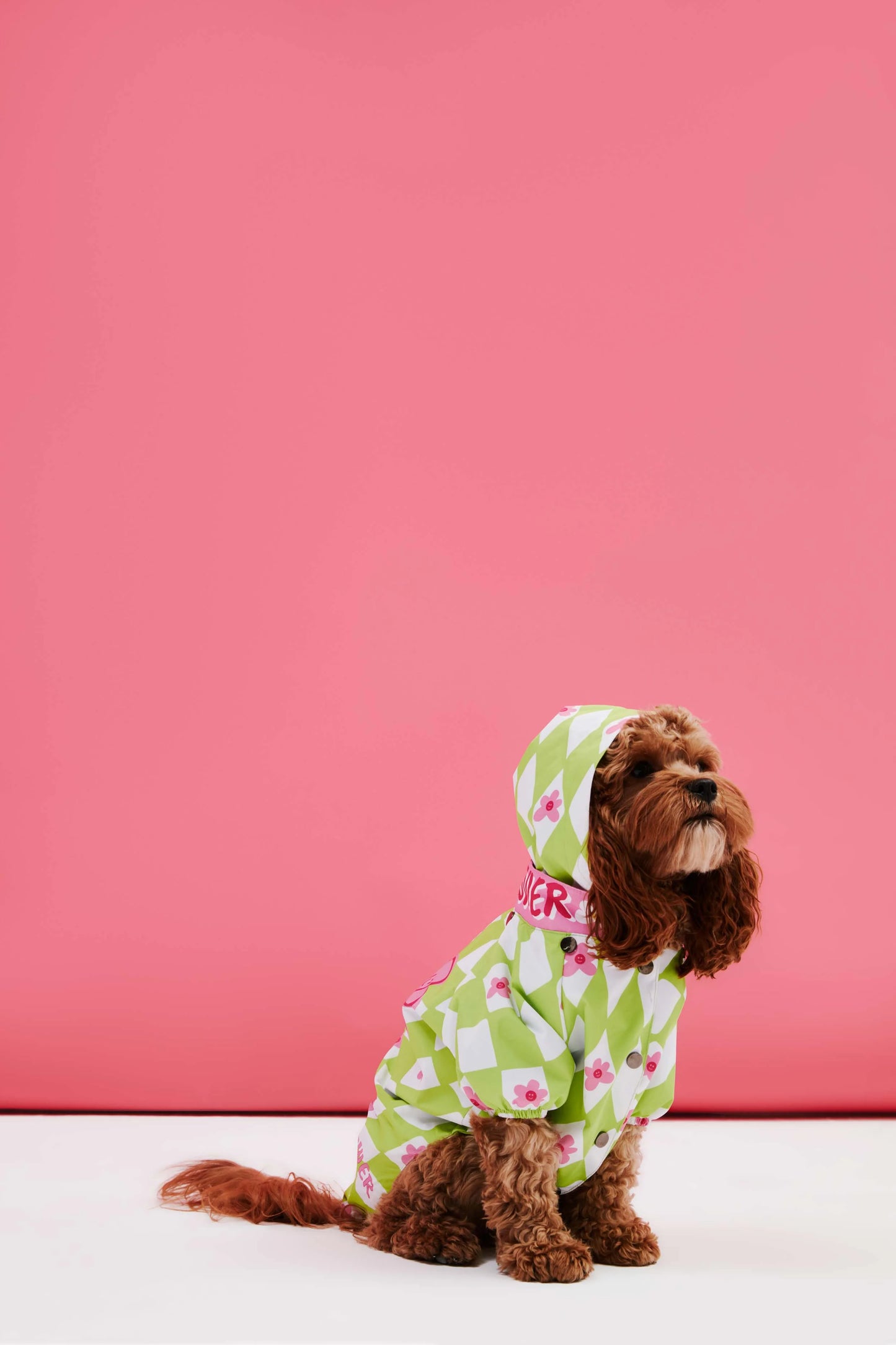 Green Checkered Dog Raincoat