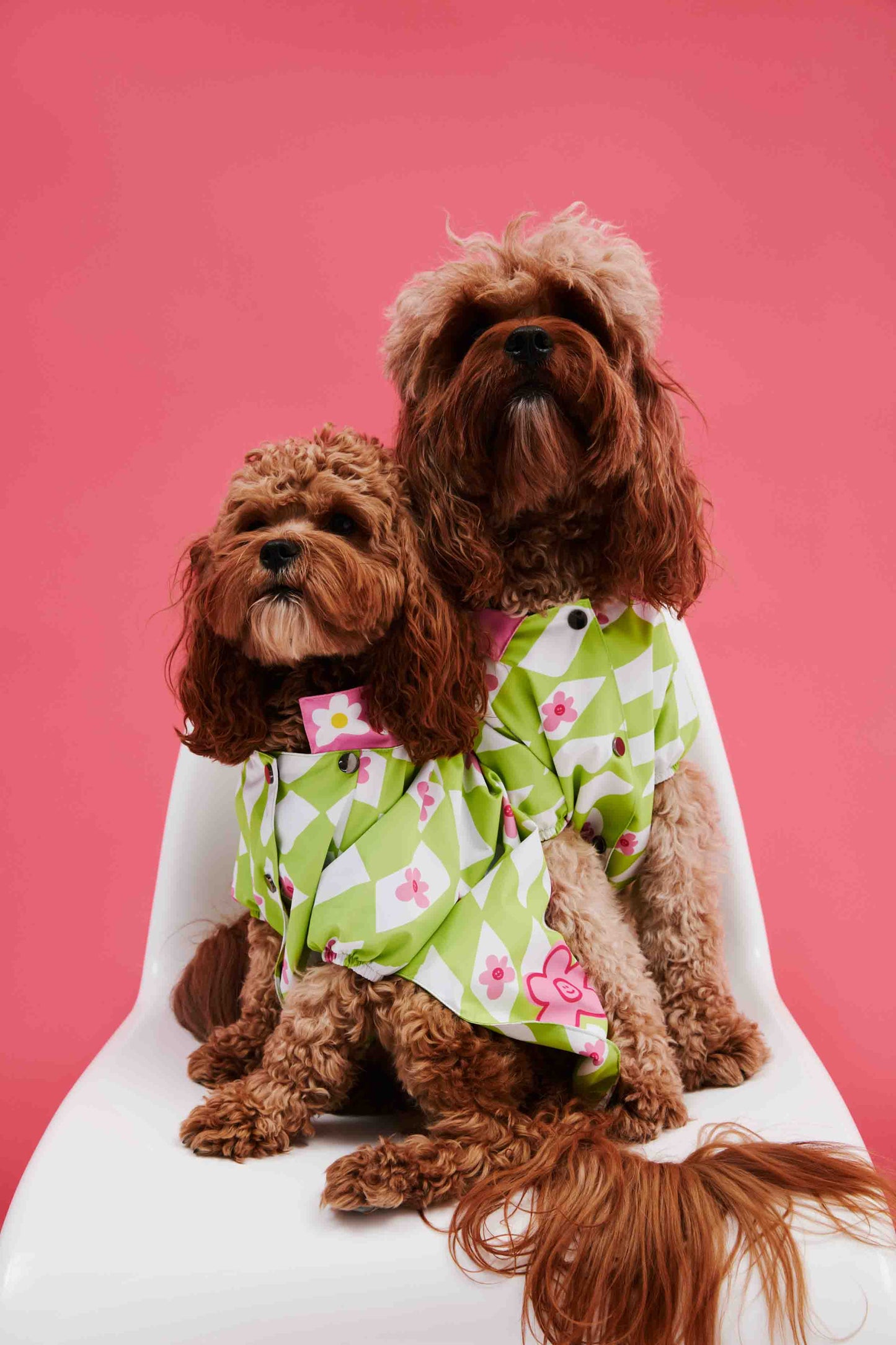 Green Plaid Dog Raincoat
