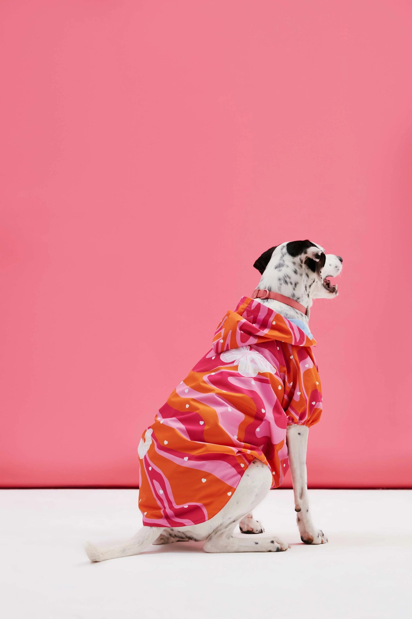Orange Pink Wavy Dog Raincoat