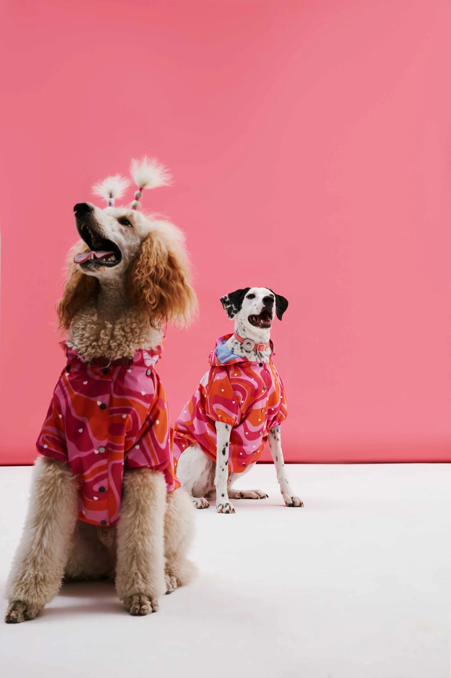 Orange Pink Wavy Dog Raincoat
