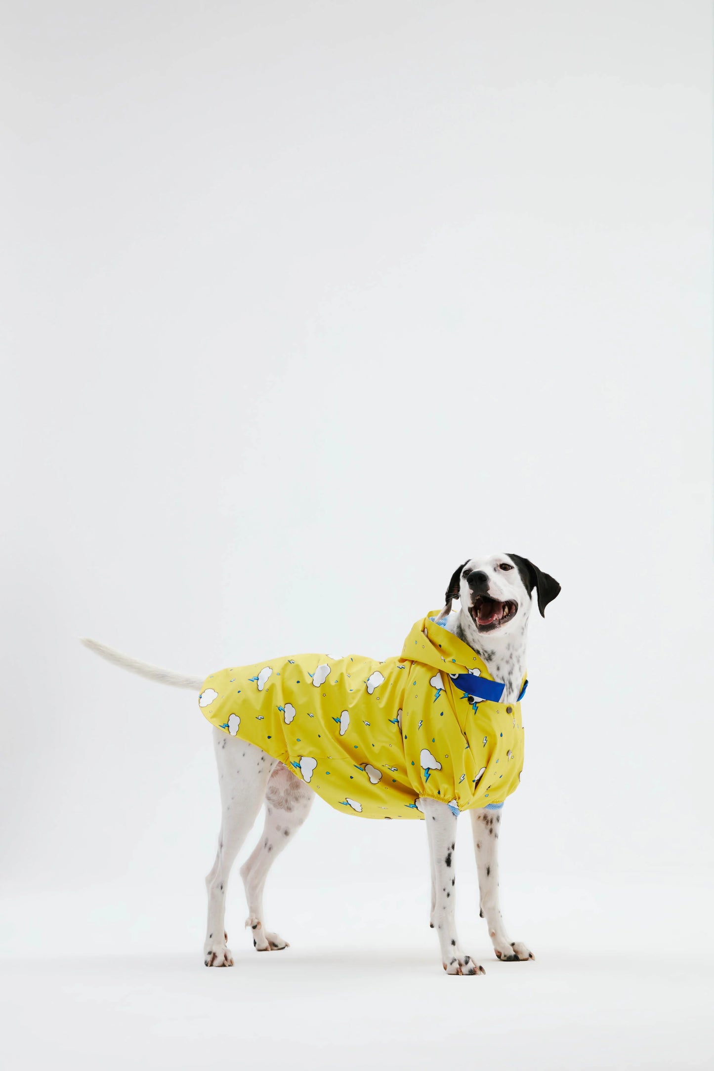 Yellow Cloud Dog Raincoat