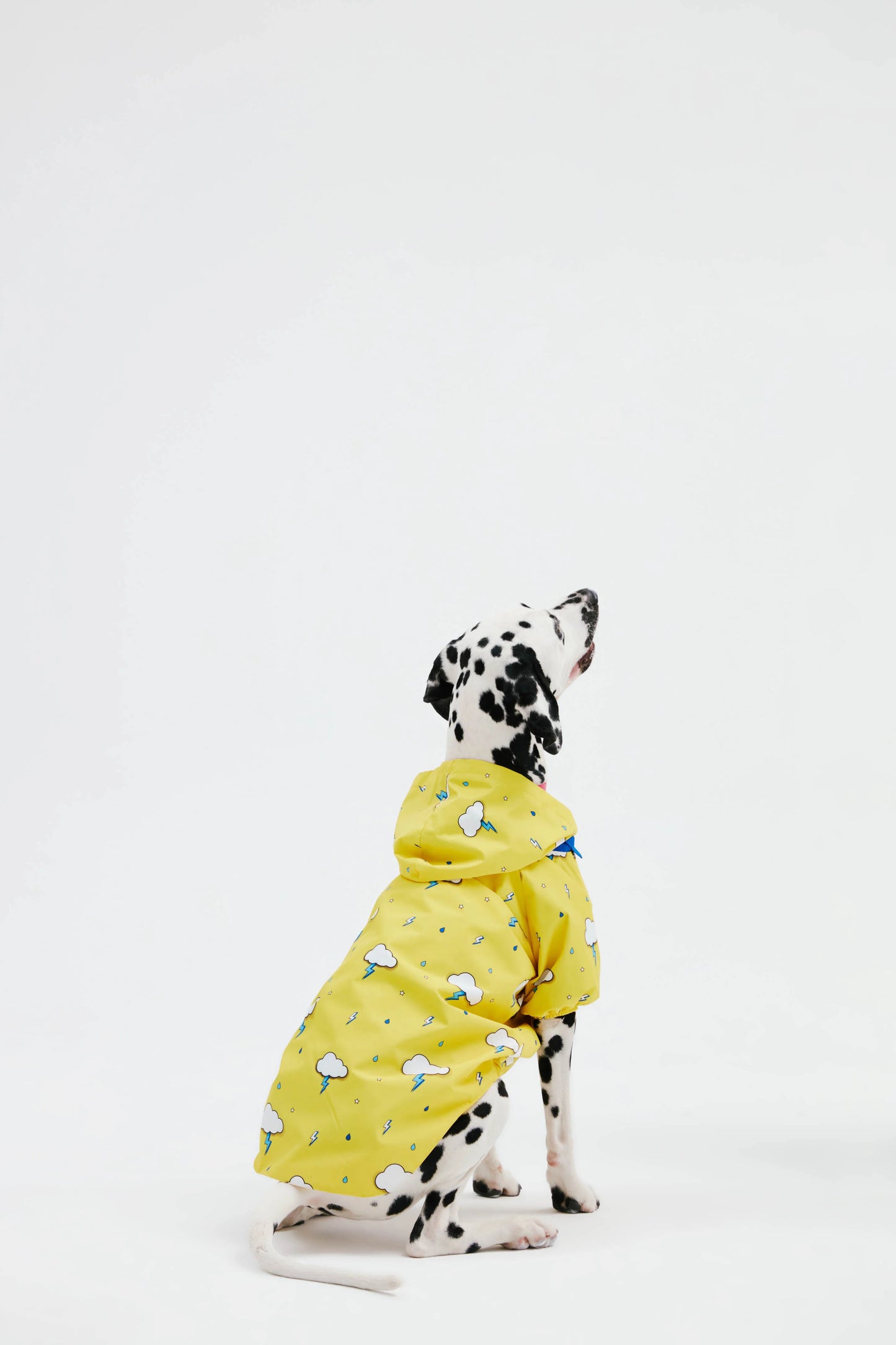 Yellow Cloud Dog Raincoat