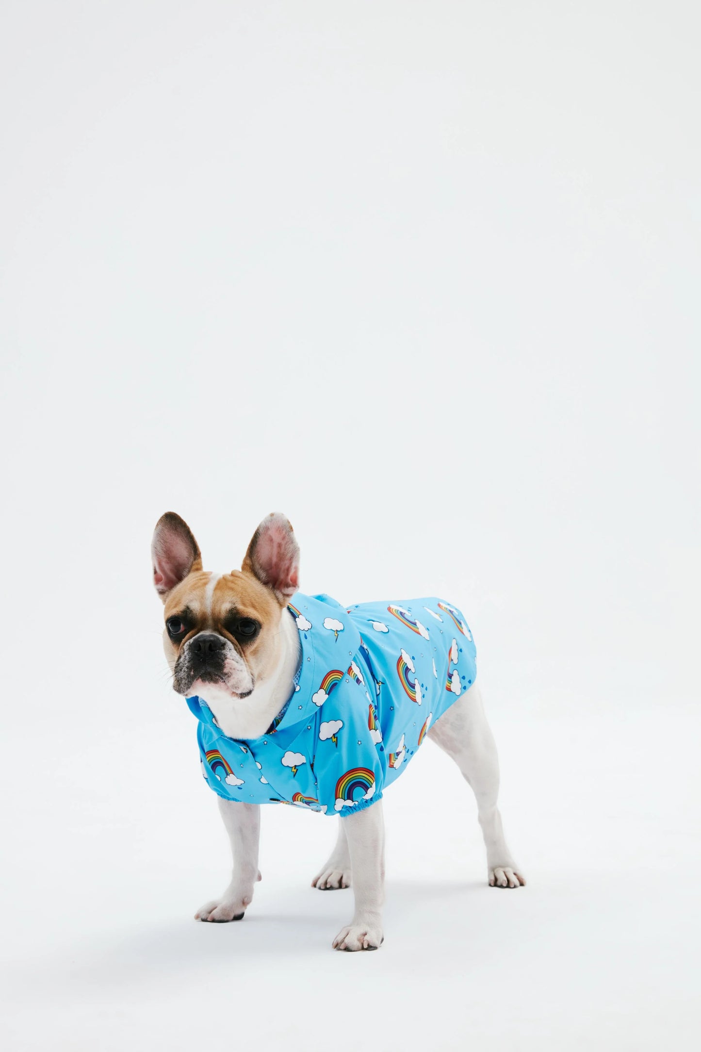 Blue Rainbow Dog Raincoat