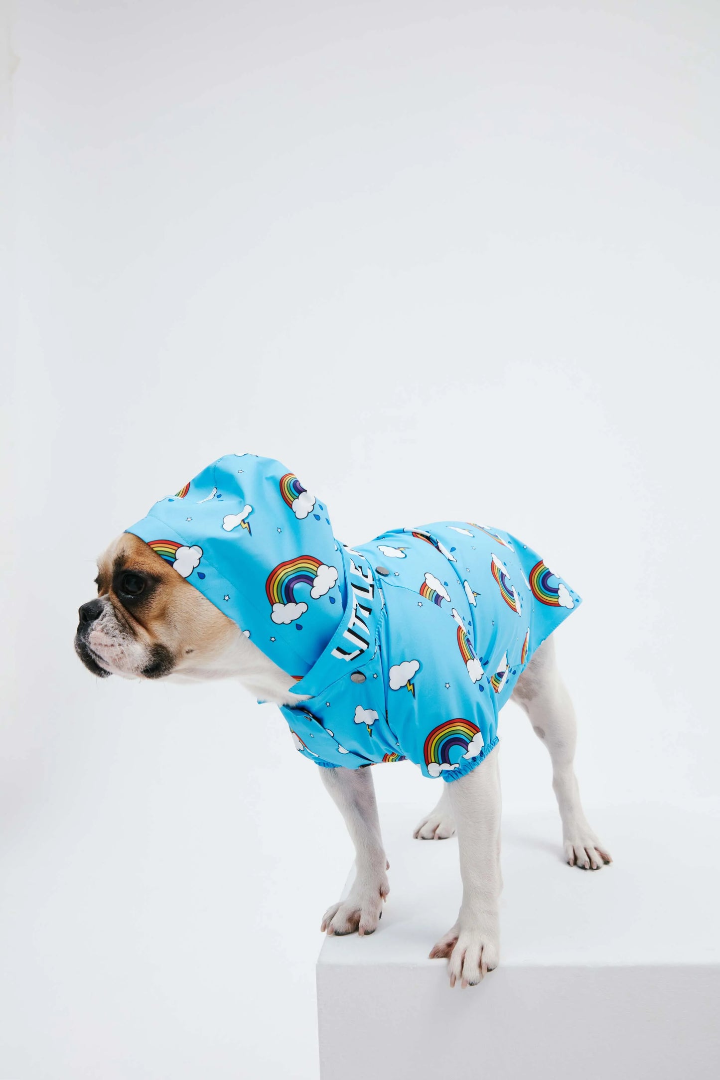 Blue Rainbow Dog Raincoat