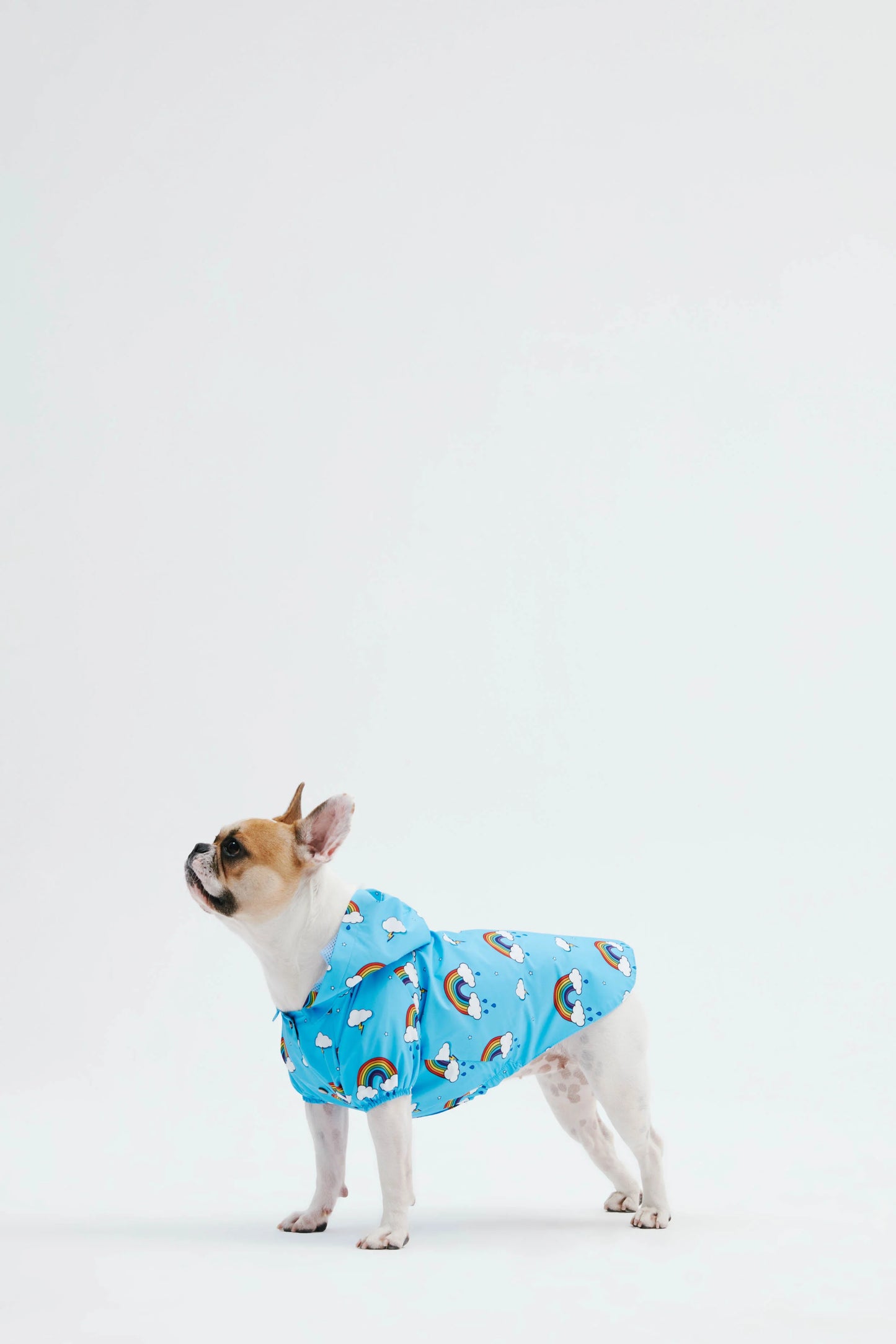 Blue Rainbow Dog Raincoat