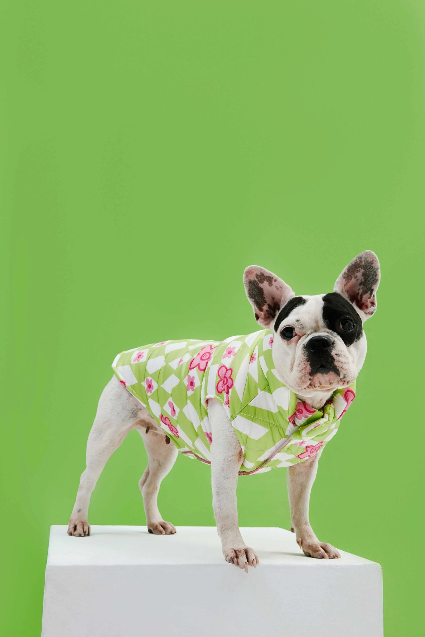 GREEN CHECKED INFLATABLE DOG COAT