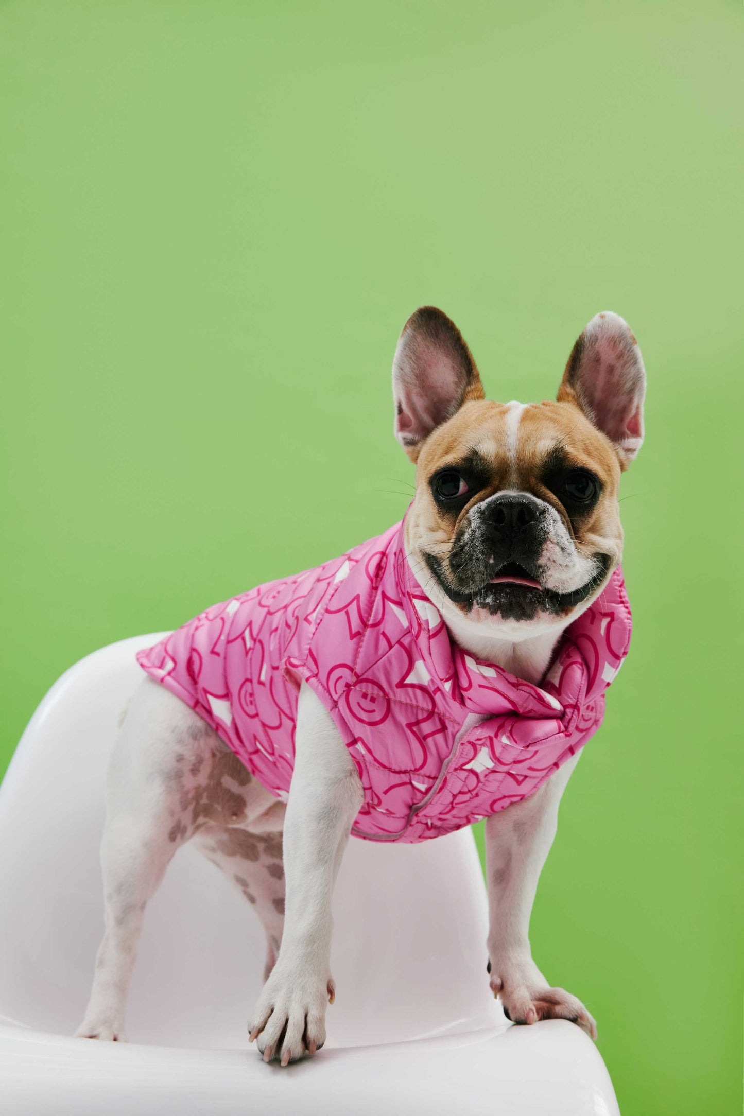 Pink Floral Puppy Dog Coat
