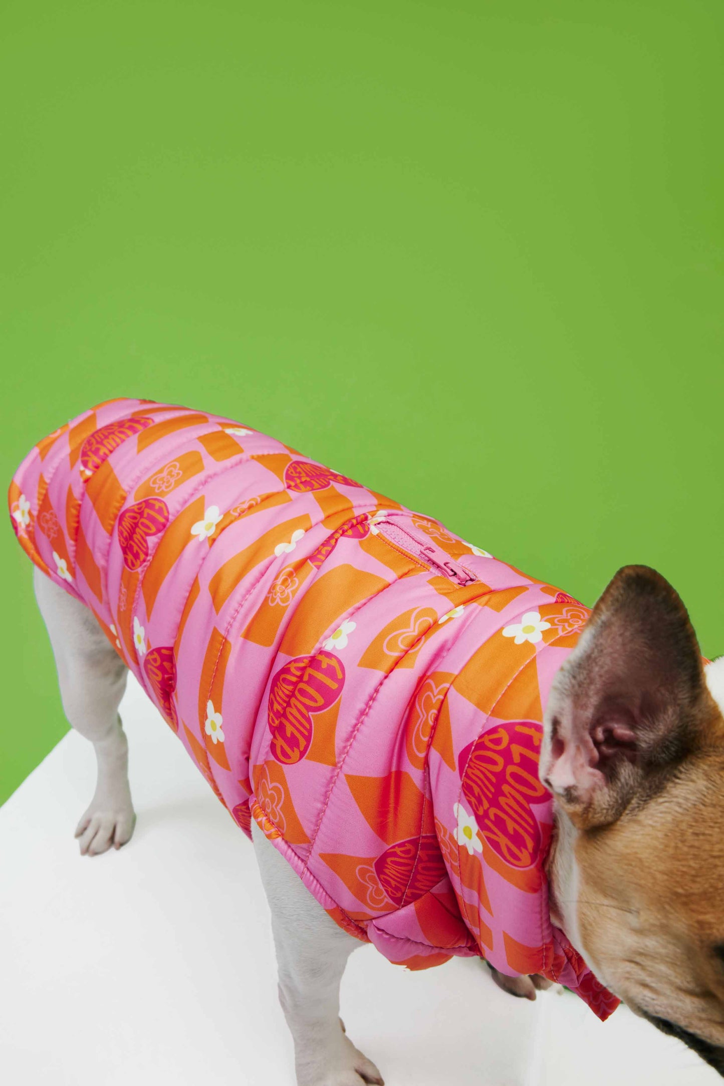 ORANGE PINK CHECKED PUFFY DOG COAT