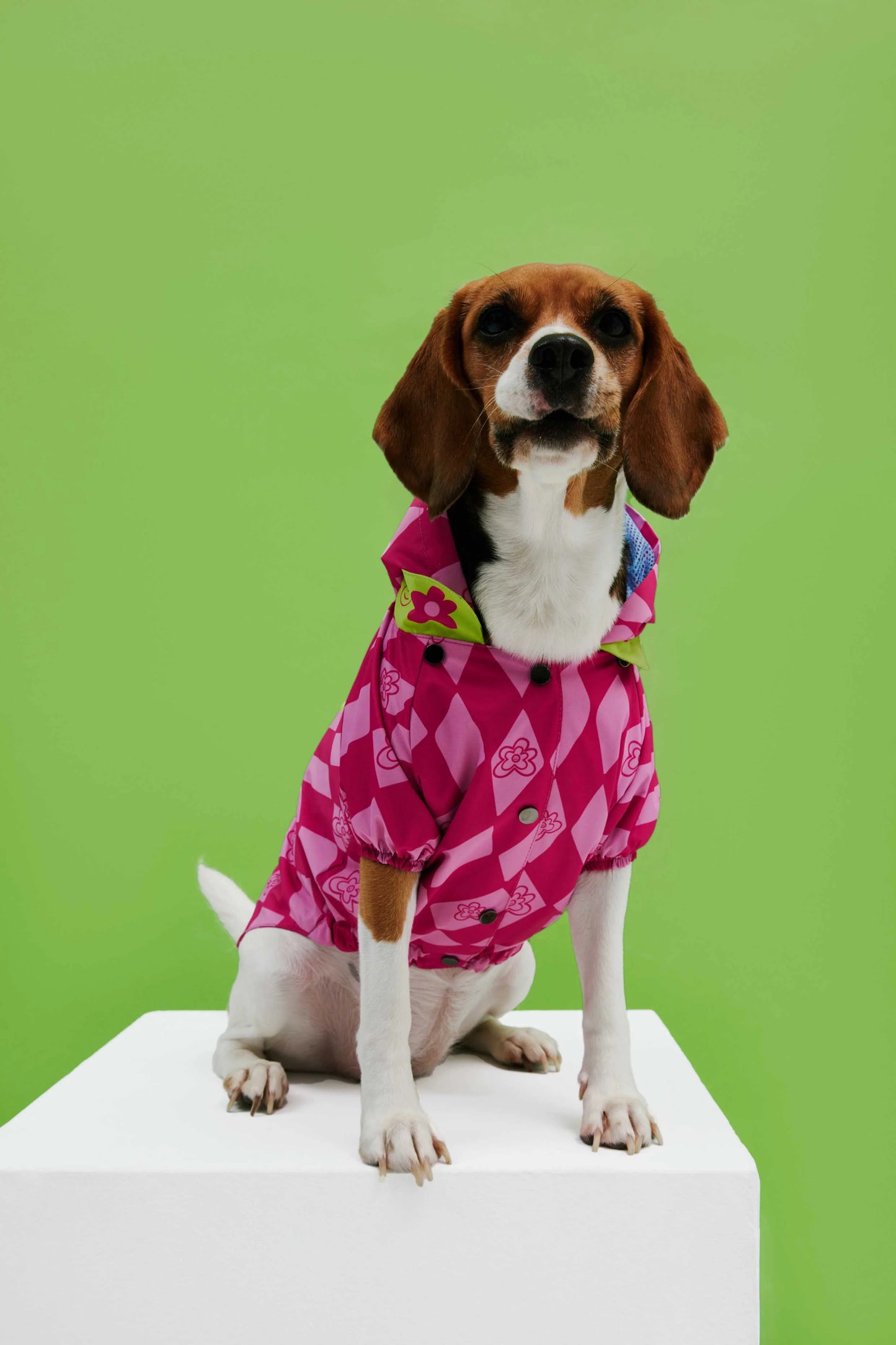 Pink Checkered Dog Raincoat