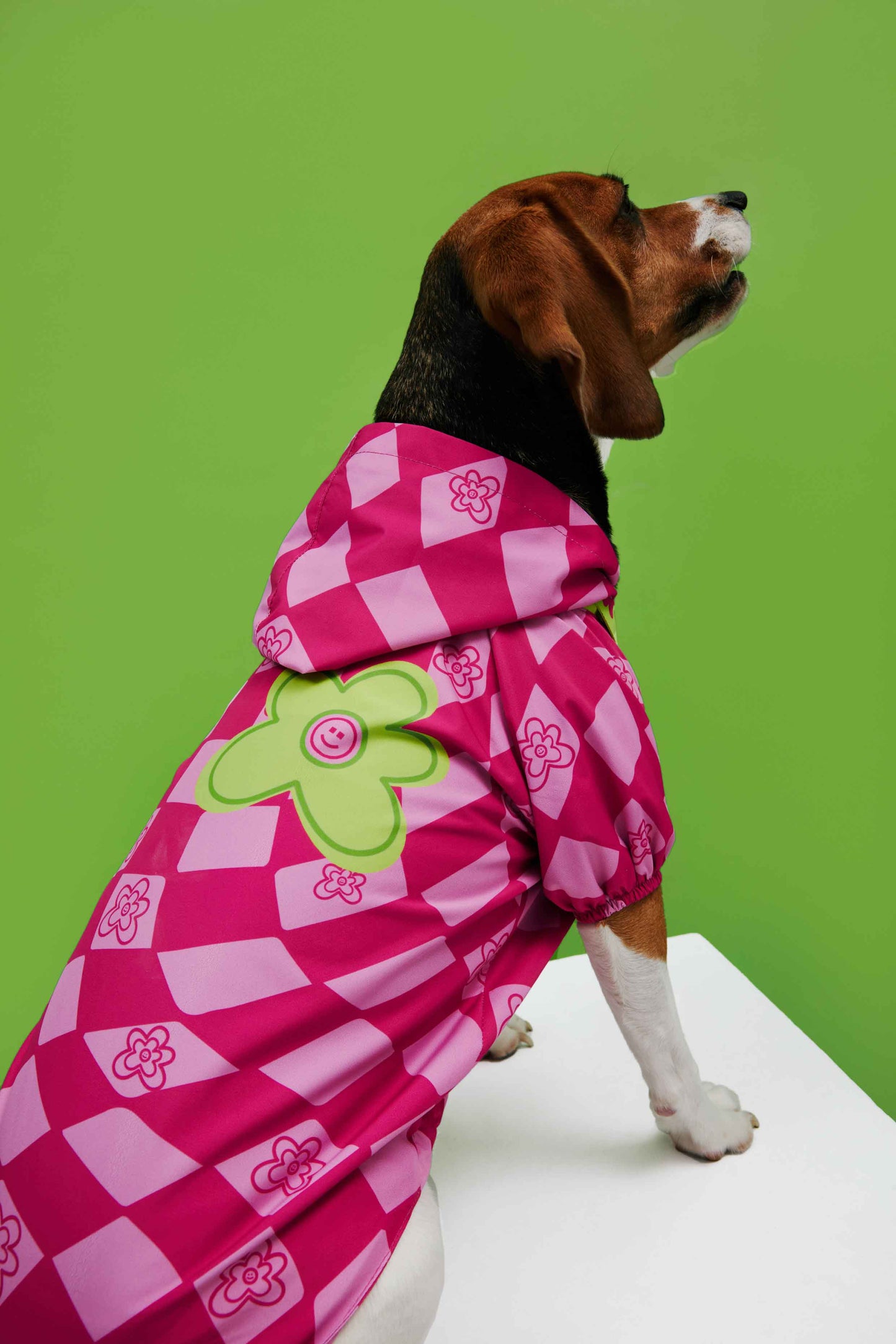 Pink Checkered Dog Raincoat