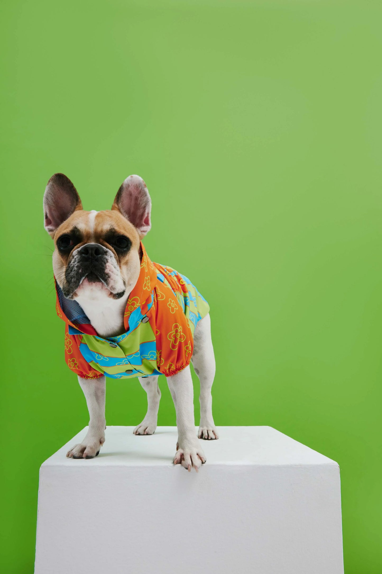 Funky Flower Dog Raincoat
