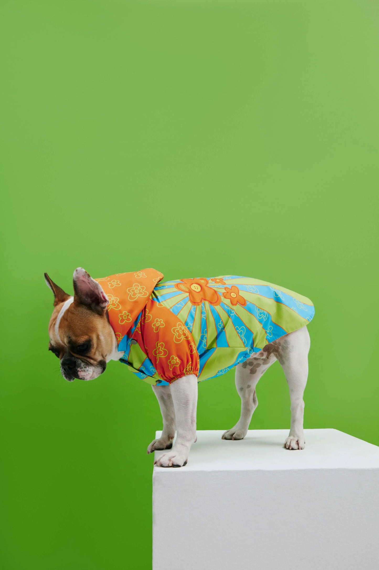 Funky Flower Dog Raincoat