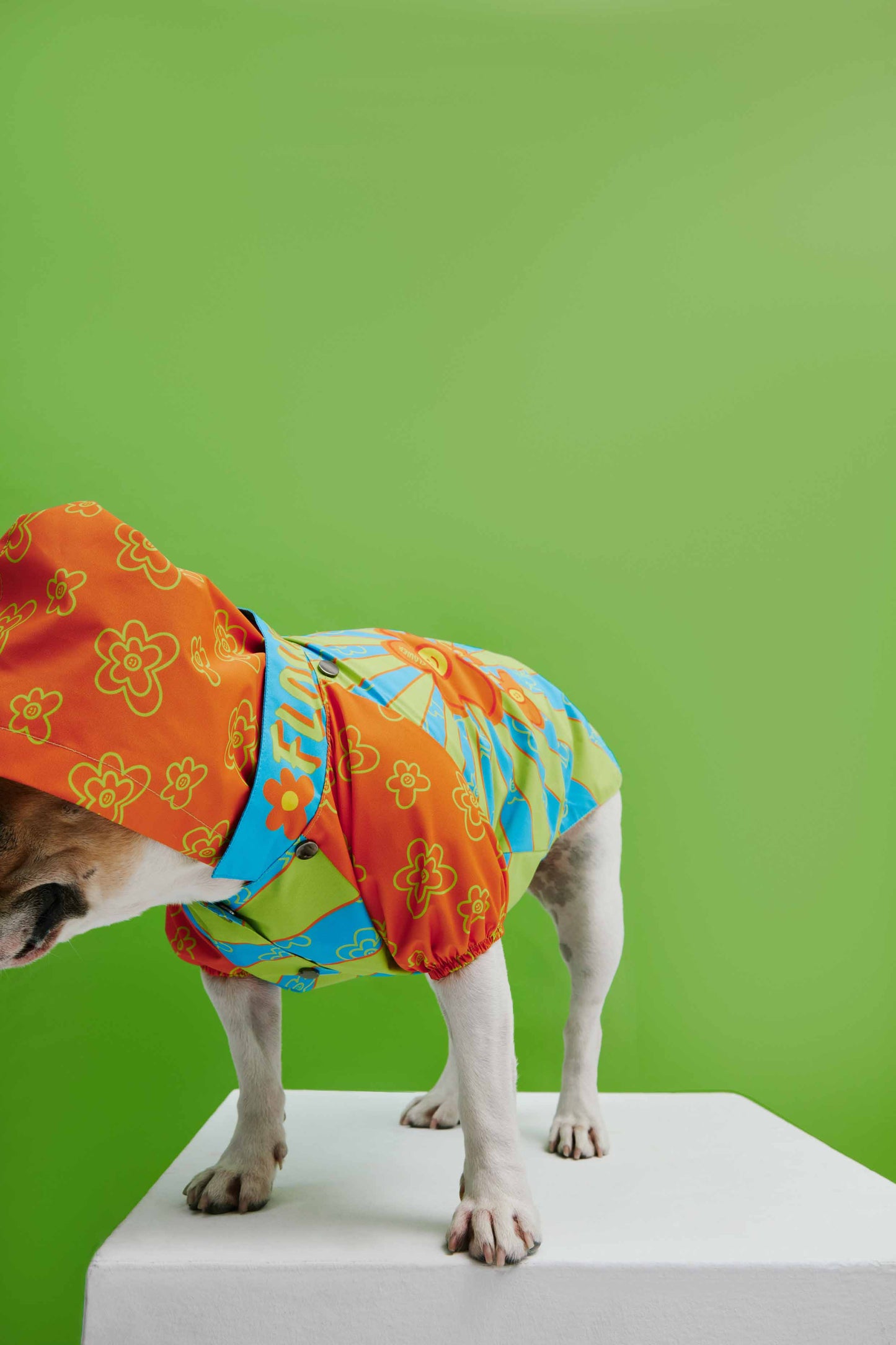 Funky Flower Dog Raincoat