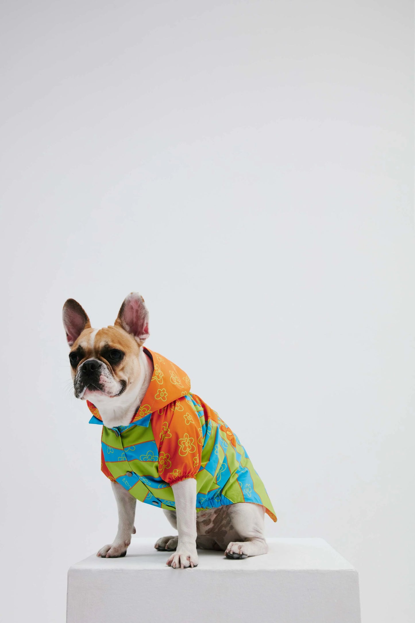 Funky Flower Dog Raincoat